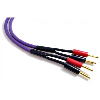 Kabel głośnikowy Melodika MDSC40