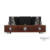 Wzmacniacz lampowy Audio Reveal First