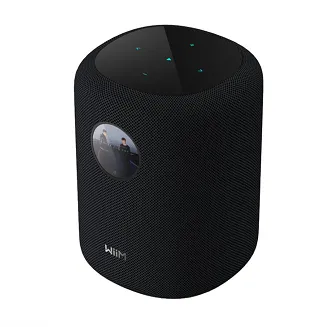 Głośnik bezprzewodowy WiiM Sound - 2