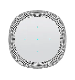 Głośnik bezprzewodowy WiiM Sound - 9