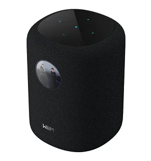 Głośnik bezprzewodowy WiiM Sound - 3