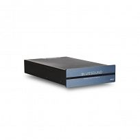 Bluesound B100S