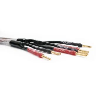 Kabel głośnikowy typu BI-WIRE Melodika BSBW225 Brown Sugar (banan) - 2
