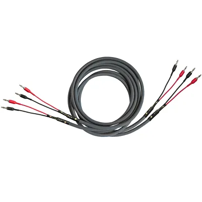 Cardas Audio Iridium Speaker