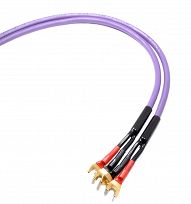 Melodika MDSC25s