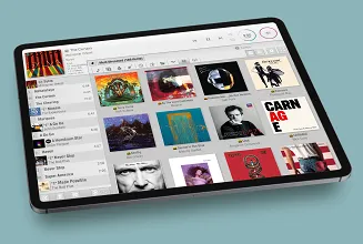 Odtwarzacz sieciowy Lumin D2 (czarny) – Outlet - 8