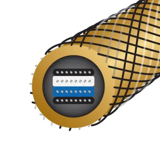 Zworki głośnikowe WireWorld GOLD ECLIPSE Biwire Jumpers  JUMPGES10 - 2