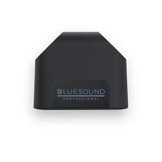Głośnik naścienny Bluesound BSP200 (Czarny) - 3