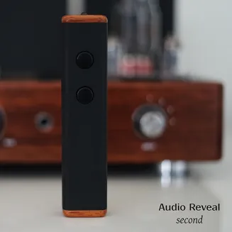 Audio Reveal Second - 5