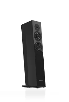 Kolumny podłogowe Pylon Audio Diamond 25 mkII - 16