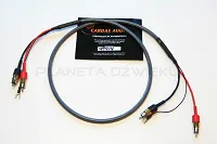 Kabel gramofonowy Cardas Audio Microtwin Phono