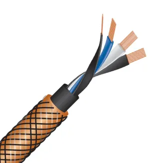 Zworki głośnikowe WireWorld ECLIPSE Biwire Jumpers JUMPECS10 - 2