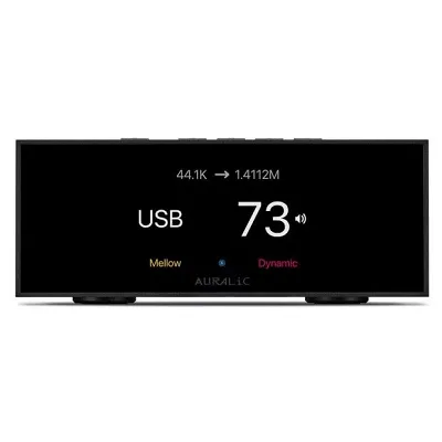 Przetwornik cyfrowo-analogowy Auralic Vega S1