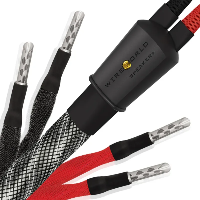 Kabel głośnikowy bi-wire WireWorld PLATINUM ECLIPSE 10 (PEB)