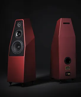 Kolumny podłogowe Wilson Audio Sabrina X - 5