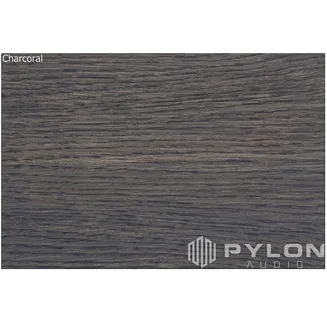 Pylon Audio Ruby 25 Mk II - 4