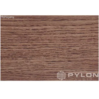 Pylon Audio Ruby 25 Mk II - 8