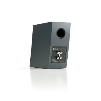 Pylon Audio Jasper Monitor 18 - 6