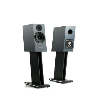 Pylon Audio Jasper Monitor 18 - 7