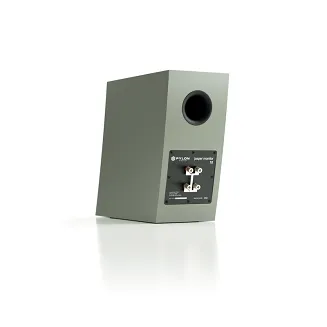 Pylon Audio Jasper Monitor 18 - 9