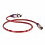 QED REFERENCE AUDIO 40 stereo XLR