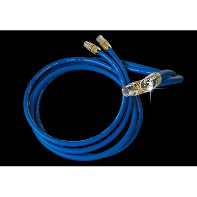 Cardas Audio Clear Beyond Interkonect XLR