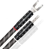 Zworki głośnikowe WireWorld PLATINUM ECLIPSE Biwire Jumpers JUMPPES10
