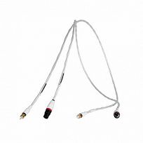 Synergistic Research Foundation IC XLR