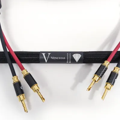 Purist Audio Design Venustas Diamond Revision SPK