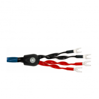 Kabel głośnikowy bi-wire WireWorld EQUINOX 8 (EQB)