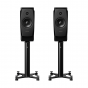 Kolumny podstawkowe Dynaudio Confidence 20A (space)