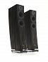 Pylon Audio Jasper 25 mkII Active (heban marokański)
