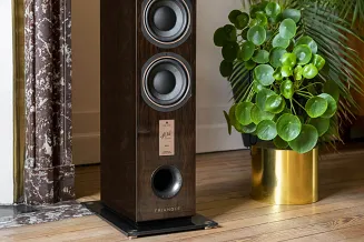 Kolumny podłogowe Triangle Esprit EZ Antal 40th (jawor) - 6