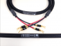 Purist Audio Design Poseidon Diamond Revision SPK