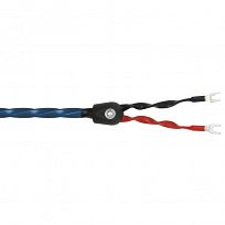 Kabel głośnikowy WireWorld OASIS 8 (OAS)