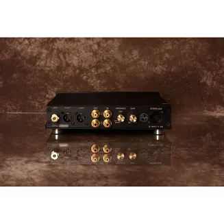 Przedwzmacniacz gramofonowy Euterpe AA02 (Art Analog) - 3