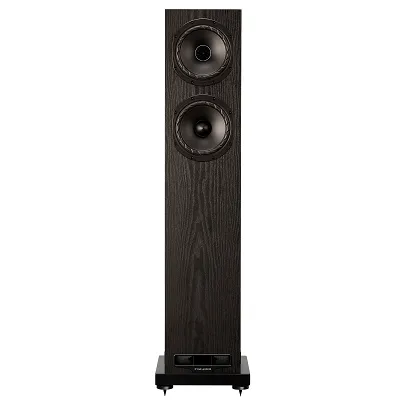 Kolumny podłogowe Fyne Audio F 501E