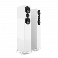 Acoustic Energy AE509 (biały połysk)