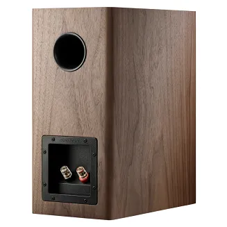 Kolumny podstawkowe Dynaudio Evoke 20 (orzech) - 5