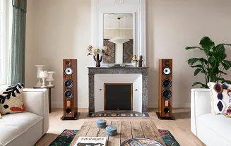 Kolumny podłogowe Triangle Esprit EZ Antal 40th (złoty dąb) - 7