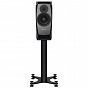 Kolumny podstawkowe Dynaudio Confidence 20 (midnight)
