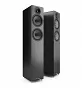 Acoustic Energy AE109 MK2 (Czarny)