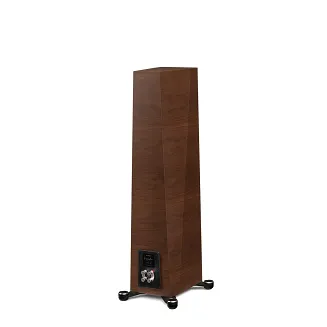 Paradigm Founder 80F (walnut) - 5