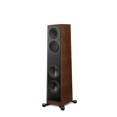 Paradigm Founder 80F (walnut)