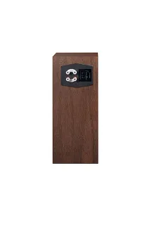 Paradigm Founder 70LCR (walnut) - 11
