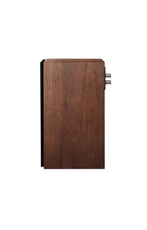 Paradigm Founder 70LCR (walnut) - 9