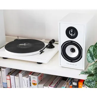 Kolumny podstawkowe TRIANGLE BOREA BR02 (orzech) - 2