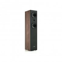 Pylon Audio Opal 23 (orzech)