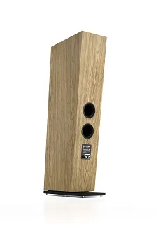 Pylon Audio Diamond 28 mkII - 23