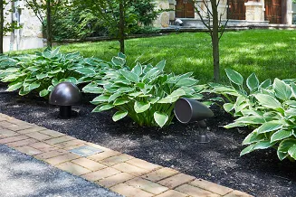 Martin Logan Outdoor Sub 100 - 2